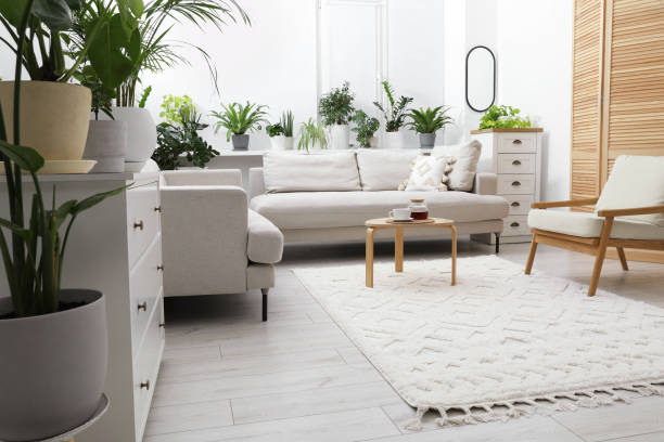 homehackz.com: Smart Home Improvement Ideas That Actually Make Life Easier